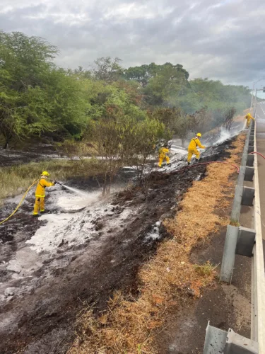 Brush fire along Piilani Highway quickly contained
